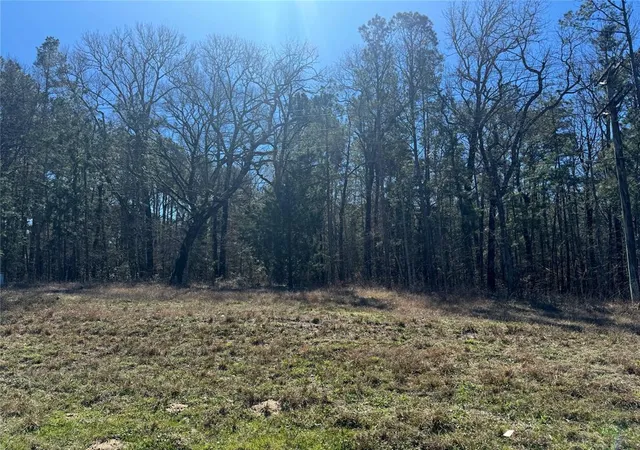 Photo 3 of Land for sale at Tbd Us 190, Point Blank, TX 77364 | MLS# 67925046 | Listing updated on 2026-08-30
