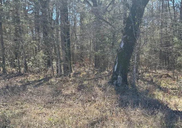 7th image of Tbd Us 190, Point Blank, TX 77364 | MLS# 67925046