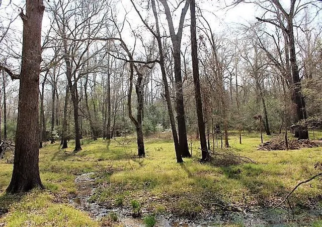 12th image of 13223 County Road 136 East, Centerville, TX 75833 | MLS# 37046925