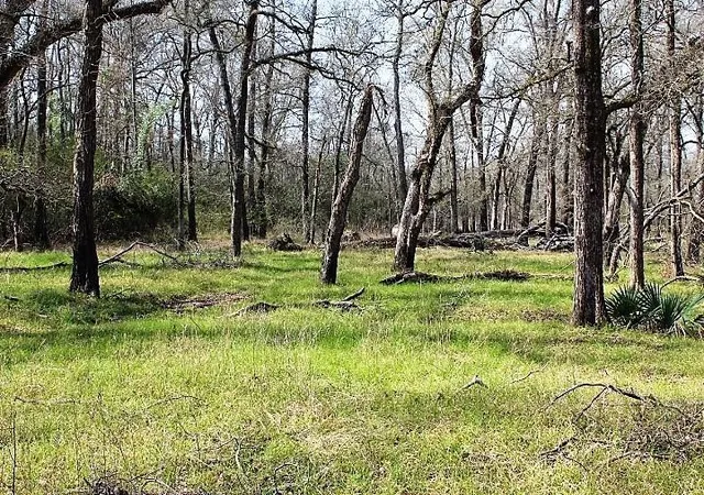 4th image of 13223 County Road 136 East, Centerville, TX 75833 | MLS# 37046925