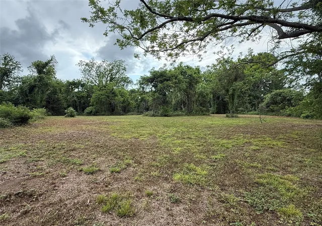 2nd image of 137 Fm 359 Rd Rear Rd, Richmond, TX 77406 | MLS# 16569020