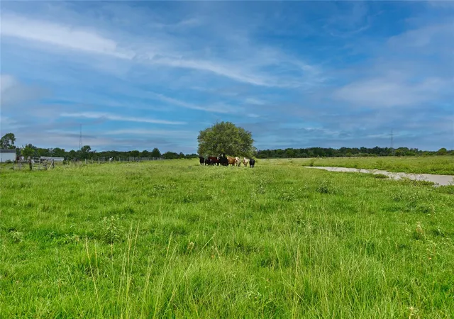 Photo 3 of Land for sale at 00 Lisa Mae Rd, Bellville, TX 77418 | MLS# 54791438 | Listing updated on 2026-07-27