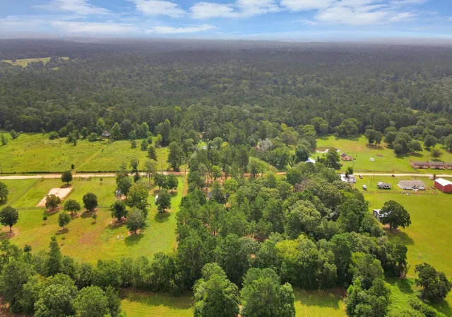 Photo 23 of Single family home for sale at 12964 Kowis Ln, Plantersville, TX 77363 | MLS# 90888969 | Listing updated on 2026-09-08