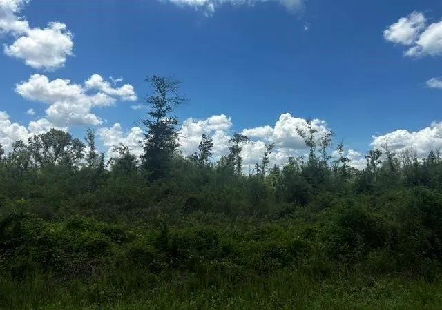 Photo 3 of Sale Pending at 0000 Piney Point Ln, Beaumont, TX 77708 | MLS# 13059582 | Listing updated on 2026-09-06