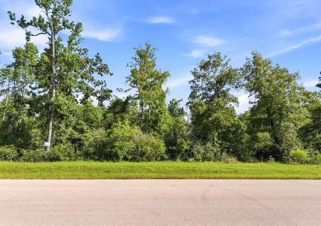 Photo 2 of Land for sale at 294 Iron Horse Rd, Willis, TX 77378 | MLS# 14644437 | Listing updated on 2026-08-07