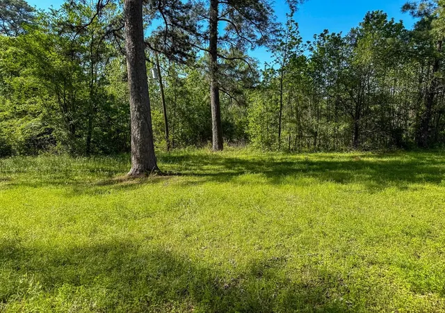1st image of 0 Old Houston Rd, Huntsville, TX 77340 | MLS# 1042110