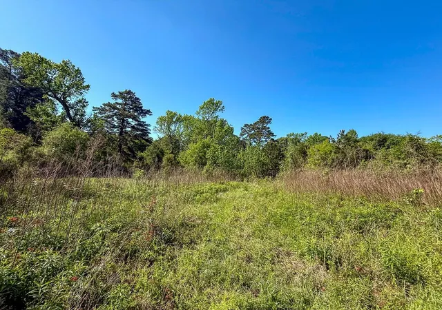 2nd image of 0 Old Houston Rd, Huntsville, TX 77340 | MLS# 1042110