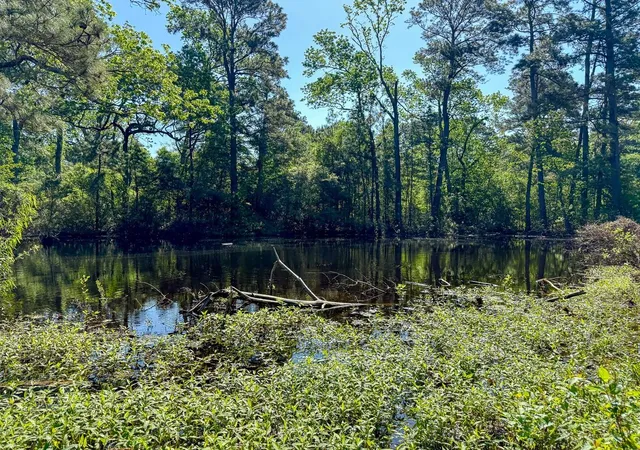 3rd image of 0 Old Houston Rd, Huntsville, TX 77340 | MLS# 1042110