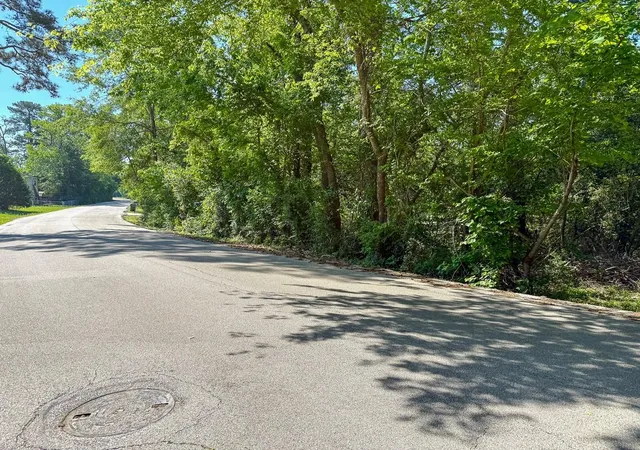 5th image of 0 Old Houston Rd, Huntsville, TX 77340 | MLS# 1042110