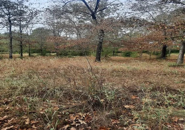 17th image of 2900 County Road 3390, Crockett, TX 75835 | MLS# 22317381