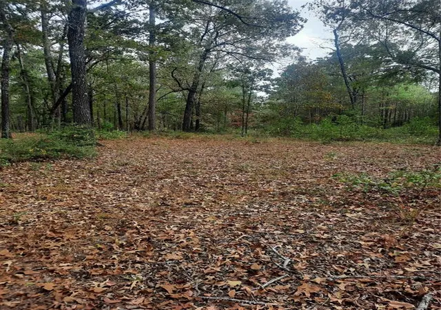 3rd image of 2900 County Road 3390, Crockett, TX 75835 | MLS# 22317381