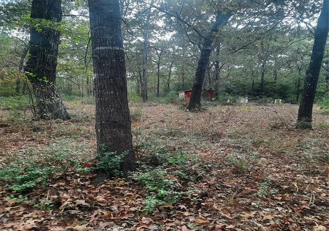 4th image of 2900 County Road 3390, Crockett, TX 75835 | MLS# 22317381