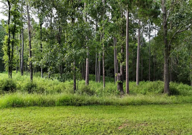 Photo 1 of Land for sale at 035 Naples Way, Huntsville, TX 77320 | MLS# 14650204 | Listing updated on 2026-07-27