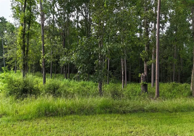 Photo 3 of Land for sale at 035 Naples Way, Huntsville, TX 77320 | MLS# 14650204 | Listing updated on 2026-07-27
