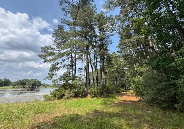Photo 1 of Land for sale at 91 Meadow Lake Dr, Trinity, TX 75862 | MLS# 53436846 | Listing updated on 2026-08-09