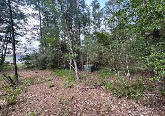 Photo 3 of Land for sale at 91 Meadow Lake Dr, Trinity, TX 75862 | MLS# 53436846 | Listing updated on 2026-08-09