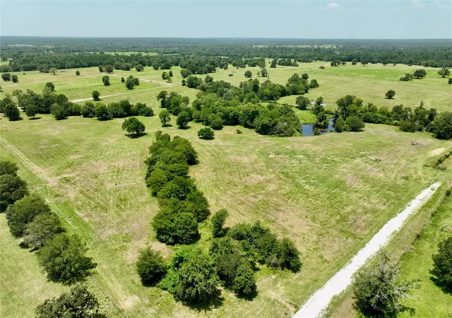 Land for sale at 6293 County Rd 216, Richards, TX 77873 | MLS# 74208643