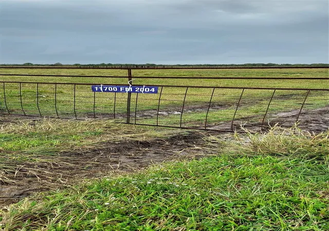 Photo 3 of Land for sale at 11700 Fm 2004, Santa Fe, TX 77510 | MLS# 66391778 | Listing updated on 2026-08-17
