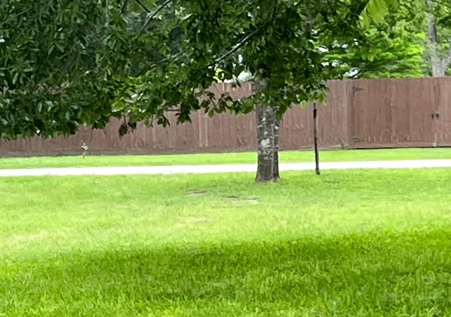 Homes for sale in Columbus, TX | Tbd 1st Avenue, Columbus, TX 78934 | MLS# 18521081