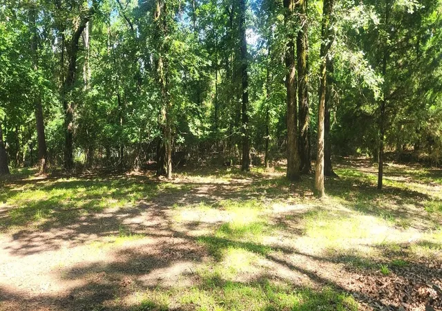 Photo 3 of Single family home for sale at 339 Eastern Hills Dr, Jefferson, TX 75657 | MLS# 33727092 | Listing updated on 2026-08-10