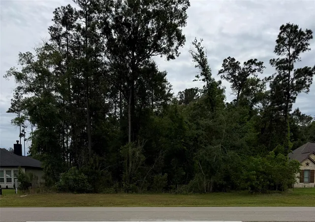 Photo 1 of Land for sale at 31 Road 66111, Dayton, TX 77535 | MLS# 74738183 | Listing updated on 2026-08-07