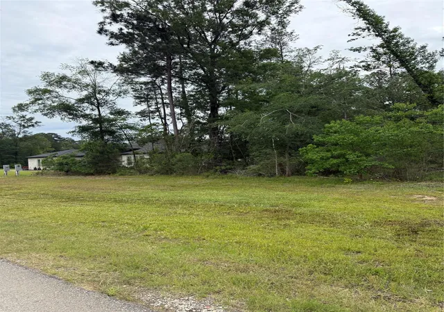 Photo 3 of Land for sale at 31 Road 66111, Dayton, TX 77535 | MLS# 74738183 | Listing updated on 2026-08-07