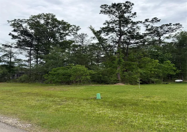 Photo 4 of Land for sale at 31 Road 66111, Dayton, TX 77535 | MLS# 74738183 | Listing updated on 2026-08-07