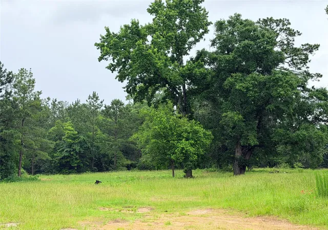 1st image of 117 Private Road 7512, Woodville, TX 75979 | MLS# 42141581