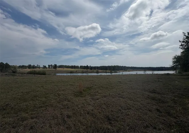 Photo 3 of Land for sale at Lot 56 Lakeland Dr, Hillister, TX 77624 | MLS# 74362329 | Listing updated on 2026-03-24