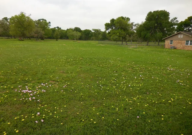 Photo 3 of Land for sale at 17 County Road 231, Wadsworth, TX 77483 | MLS# 97795128 | Listing updated on 2026-08-28