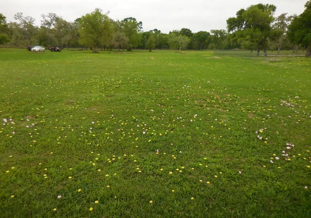 Photo 3 of Land for sale at 17 County Road 231, Wadsworth, TX 77483 | MLS# 97795128 | Listing updated on 2026-08-28