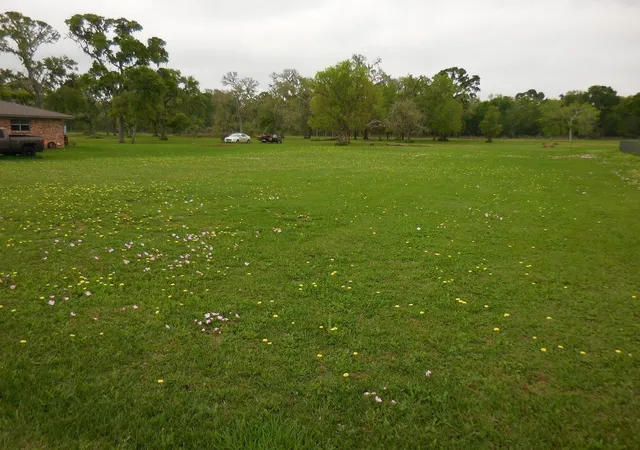 Photo 5 of Land for sale at 17 County Road 231, Wadsworth, TX 77483 | MLS# 97795128 | Listing updated on 2026-08-28
