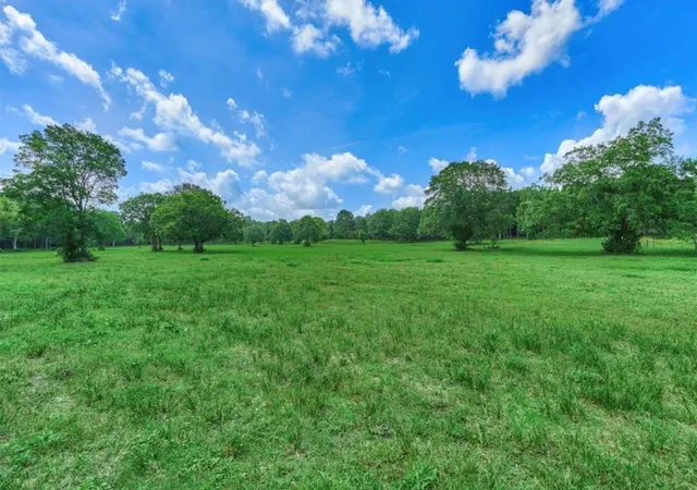 Photo 1 of Land for sale at 22930 Sharpwest Trl, Montgomery, TX 77356 | MLS# 67878577 | Listing updated on 2026-09-10