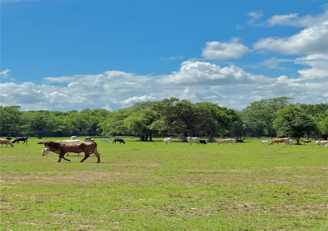 Photo 3 of Land for sale at 22930 Sharpwest Trl, Montgomery, TX 77356 | MLS# 67878577 | Listing updated on 2026-09-10