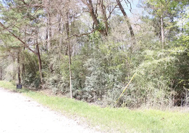 Photo 10 of Land for sale at 0 Knotty Pine Ln, Huntsville, TX 77340 | MLS# 68022862 | Listing updated on 2026-07-24