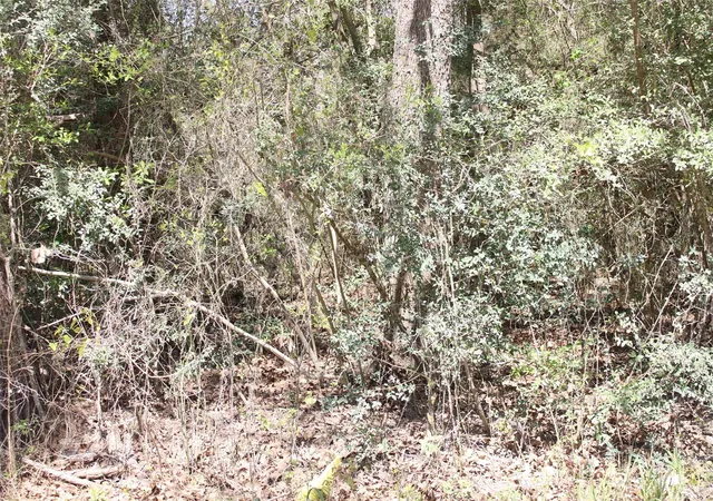 Photo 1 of Land for sale at 0 Knotty Pine Ln, Huntsville, TX 77340 | MLS# 68022862 | Listing updated on 2026-07-24