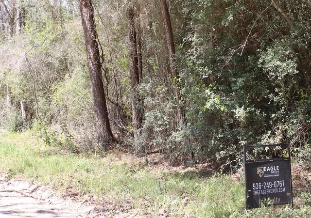Photo 2 of Land for sale at 0 Knotty Pine Ln, Huntsville, TX 77340 | MLS# 68022862 | Listing updated on 2026-07-24
