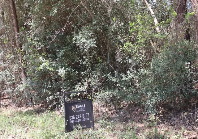 Photo 2 of Land for sale at 0 Knotty Pine Ln, Huntsville, TX 77340 | MLS# 68022862 | Listing updated on 2026-07-24