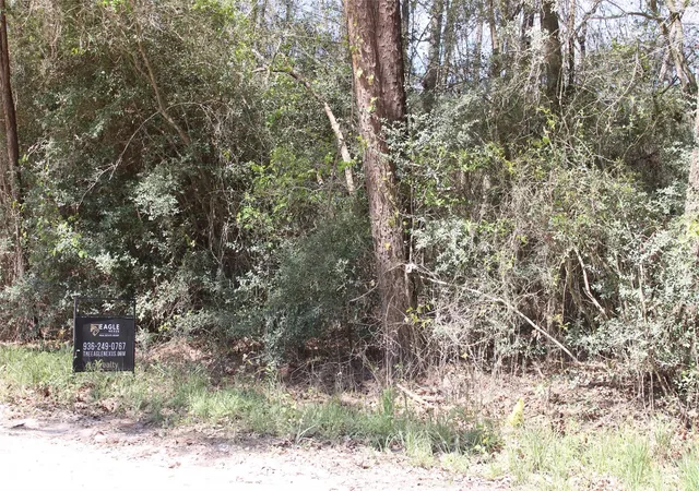 Photo 3 of Land for sale at 0 Knotty Pine Ln, Huntsville, TX 77340 | MLS# 68022862 | Listing updated on 2026-07-24
