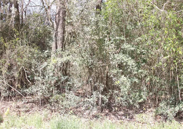 Photo 4 of Land for sale at 0 Knotty Pine Ln, Huntsville, TX 77340 | MLS# 68022862 | Listing updated on 2026-07-24