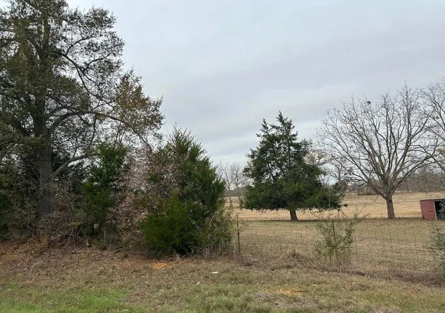 17th image of 00 Fm 696, Caldwell, TX 77836 | MLS# 69906210