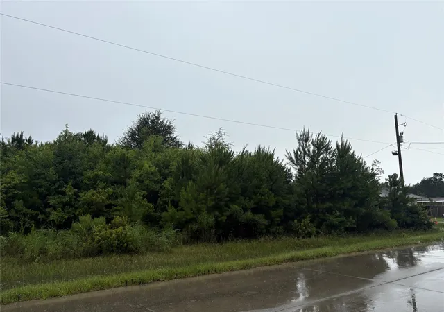 Photo 2 of Land for sale at 877 County Rd 5005, Cleveland, TX 77327 | MLS# 91520549 | Listing updated on 2026-08-20