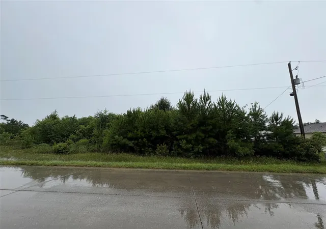 Photo 3 of Land for sale at 877 County Rd 5005, Cleveland, TX 77327 | MLS# 91520549 | Listing updated on 2026-08-20