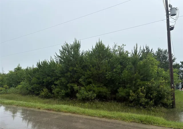Photo 3 of Land for sale at 877 County Rd 5005, Cleveland, TX 77327 | MLS# 91520549 | Listing updated on 2026-08-20