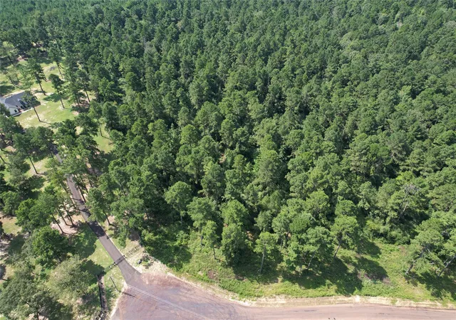 Homes for sale in Centerville, TX | Tract 66 Private Road 1318, Centerville, TX 75833 | MLS# 79098396