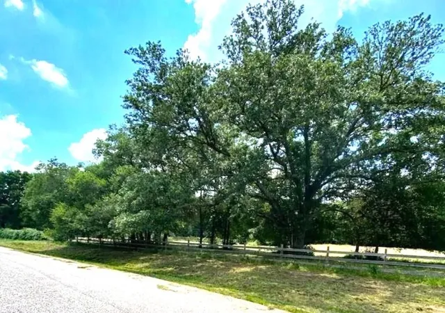 Photo 1 of Sale Pending at 9 Live Oak Trl, Cypress, TX 77429 | MLS# 97147666 | Listing updated on 2026-08-19