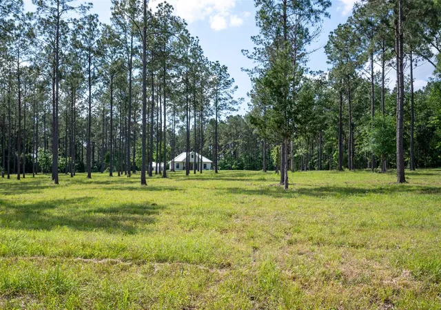2nd image of 1068 County Road 3200, Colmesneil, TX 75938 | MLS# 34756279