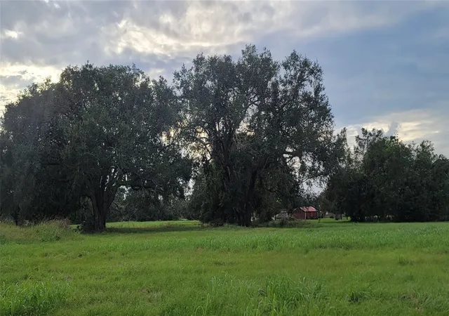 Photo 2 of Land for sale at 1338 Mill Rd, Angleton, TX 77515 | MLS# 31093427 | Listing updated on 2026-09-01