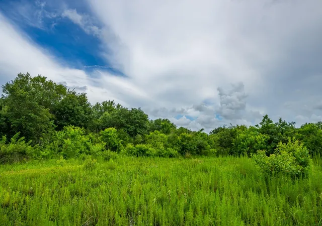 27th image of 208 Cr 208, Danbury, TX 77534 | MLS# 65337656