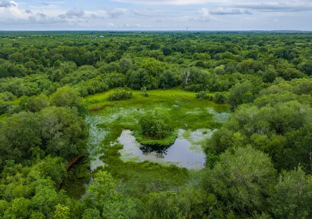 3rd image of 208 Cr 208, Danbury, TX 77534 | MLS# 65337656